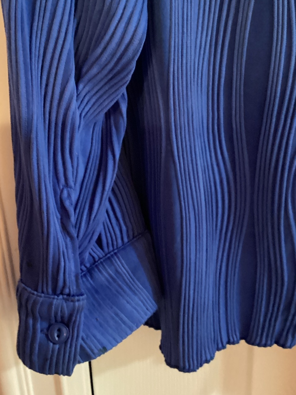 Classic Pleated Button-Front Pantsuit in Royal Blue - Picture 3 of 12